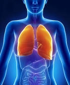 healthy_lung_1