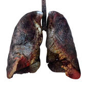 healthy_lung_2