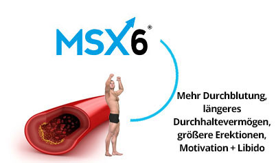 MSX6 Erfolge