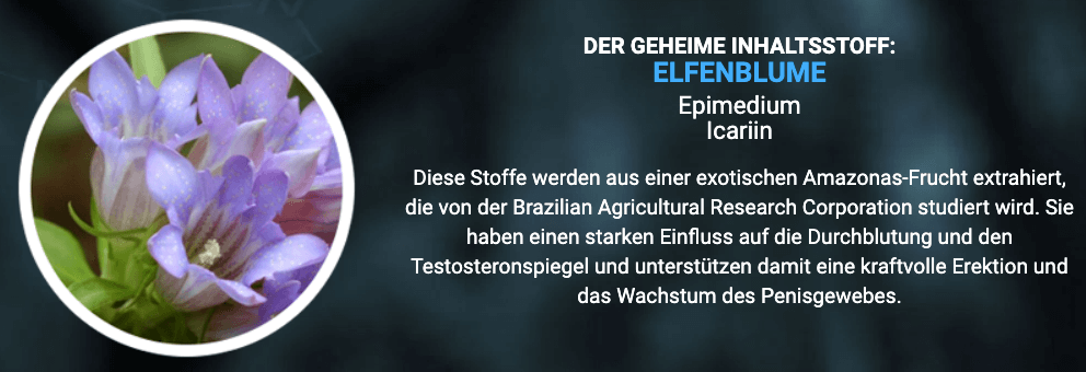 Elfenblume Inhalt TestoUltra