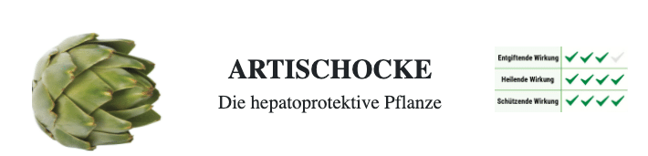 Hepaphenol Artischocke