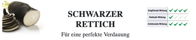 Hepaphenol Schwarzer Rettich