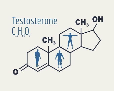 Testosteron CHO
