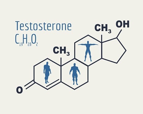 Was ist Testosteron