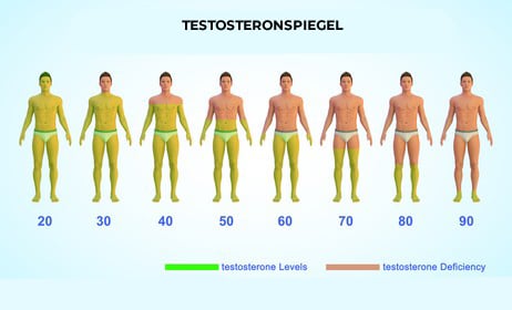 Testosteron Booster Testosteronspiegel