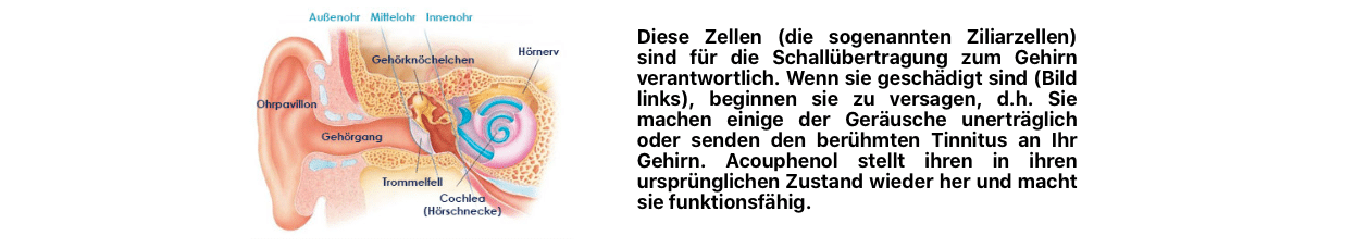 Wie Funktioniert Acouphenol?