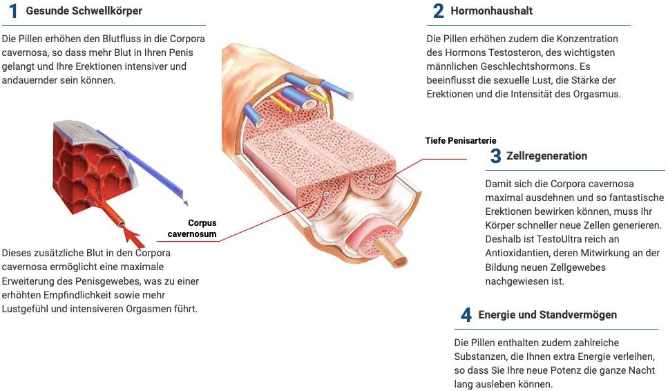 Wie funktioniert TestoUltra