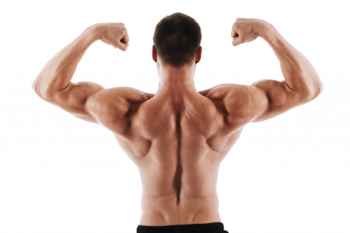 Körperliches Training erhöht den Testosteronspiegel