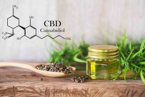 Abnehmen mit CBD Blüten