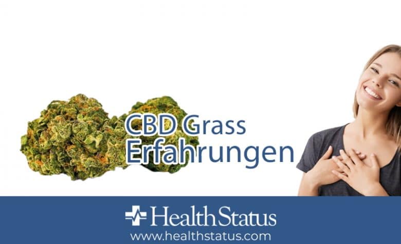 CBD Gras Erfahrungen