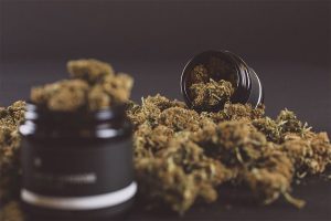 CBD Gras Wirkung Wie gefährlich ist es, CBD Gras zu verwenden