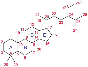 Sildenafil