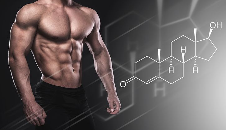Testosteron kaufen für den Muskelaufbau