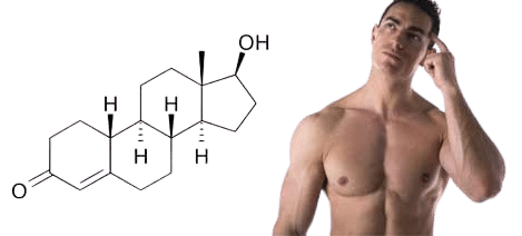 Was sind die Inhaltsstoffe von Nandrolon Tabletten und Nandrolon Injektionen 