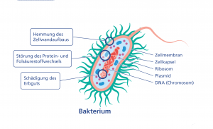 So wirkt Zithromax