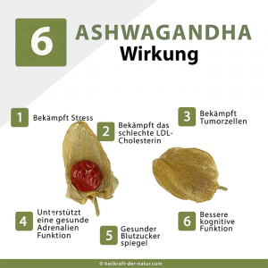 AShwagandha Wirkung