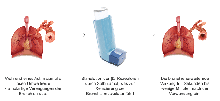 Salbutamol Wirkung