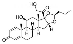 Budesonid Inhaltsstoffe