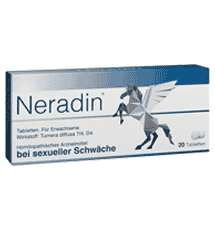 Neradin Logo