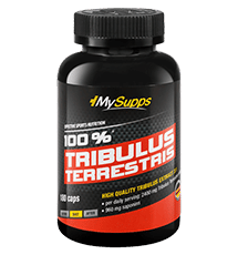 100 % Tribulus Terrestris Extract Logo