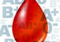 Cord blood
