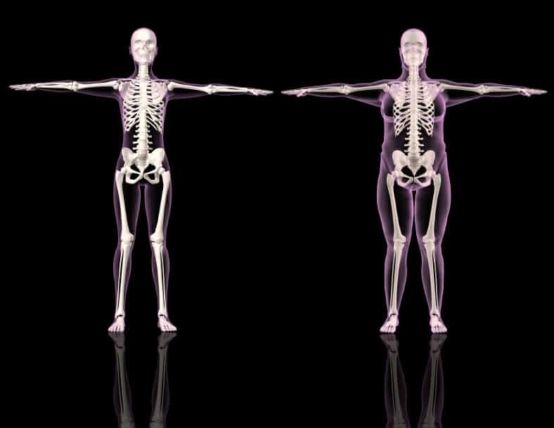 Frame size calculation to determine body type healthstatus