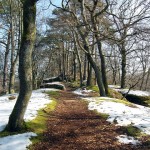 Path during winters