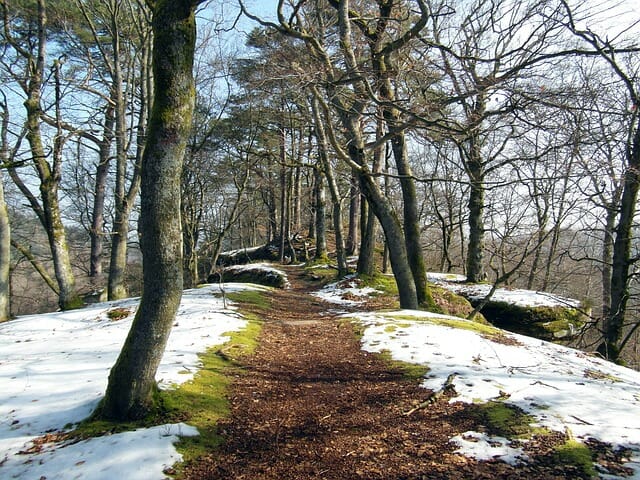 Path during winters
