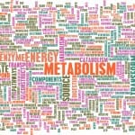 Metabolism