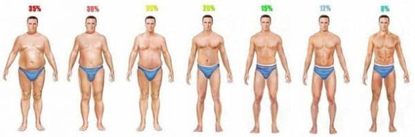 Body Fat By Age Chart