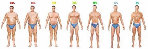 body fat percentage chart ment