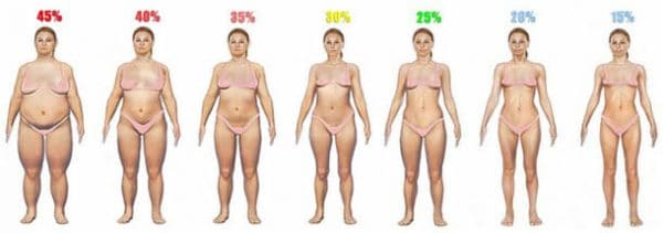 Is Body Fat The Best Measure Of Health Best Health Scale