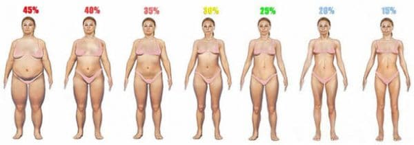 body fat percentage chart women