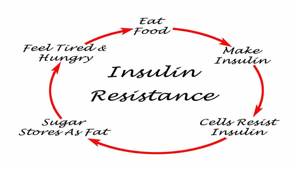 PCOS and Insulin Resistance What’s Really Going on with Your Body