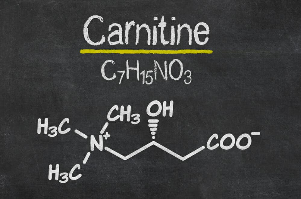 What LCarnitine Can Do for You HealthStatus