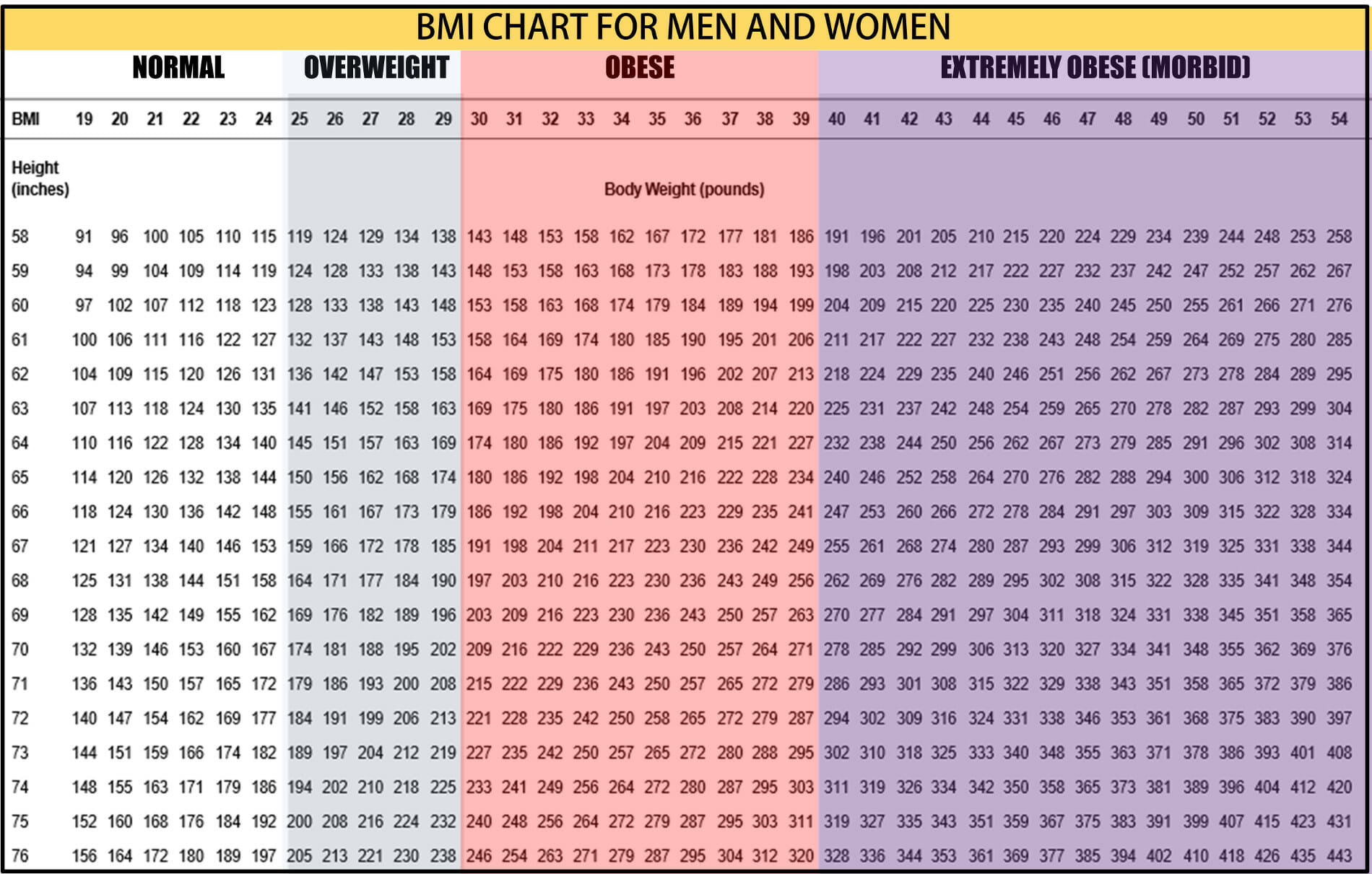 Ideal Bmi Chart For