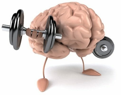 Mental Fitness and the Totally Fit Life