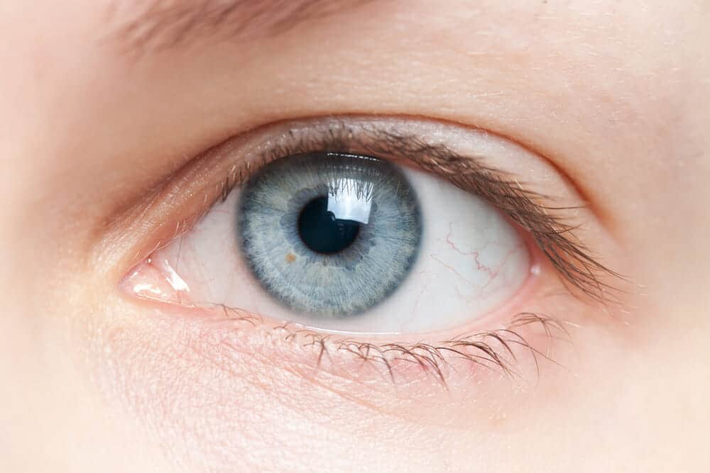 Changes in the Eye Connected to a Decline in Memory - HealthStatus