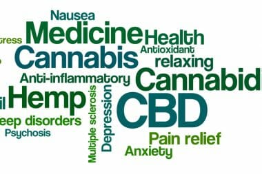 Word Cloud on a white background - CBD