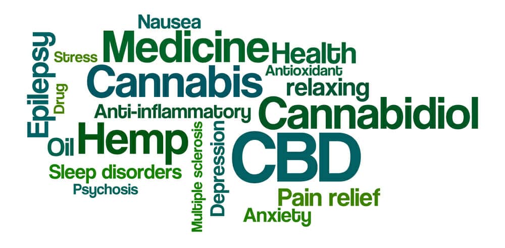 Word Cloud on a white background - CBD