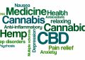 Word Cloud on a white background - CBD