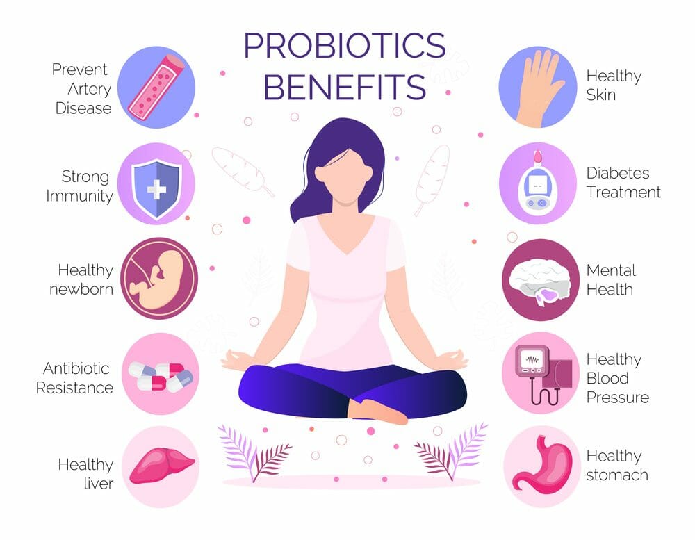 Probiotic, lactobacillus health benefits vector infographic. Healthy skin, stomach, liver, artery, newborn,