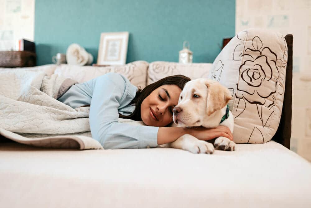 Should You Let Your Pets Sleep in Bed with You? Health Risks & Benefits