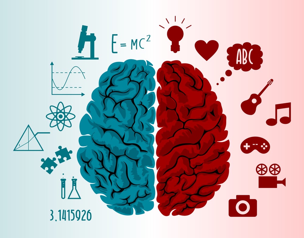 Brain infographics in two hemispheres with different thoughts