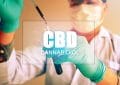 Cannabis oil, CBD concept, Chemist conducts experiments by synth