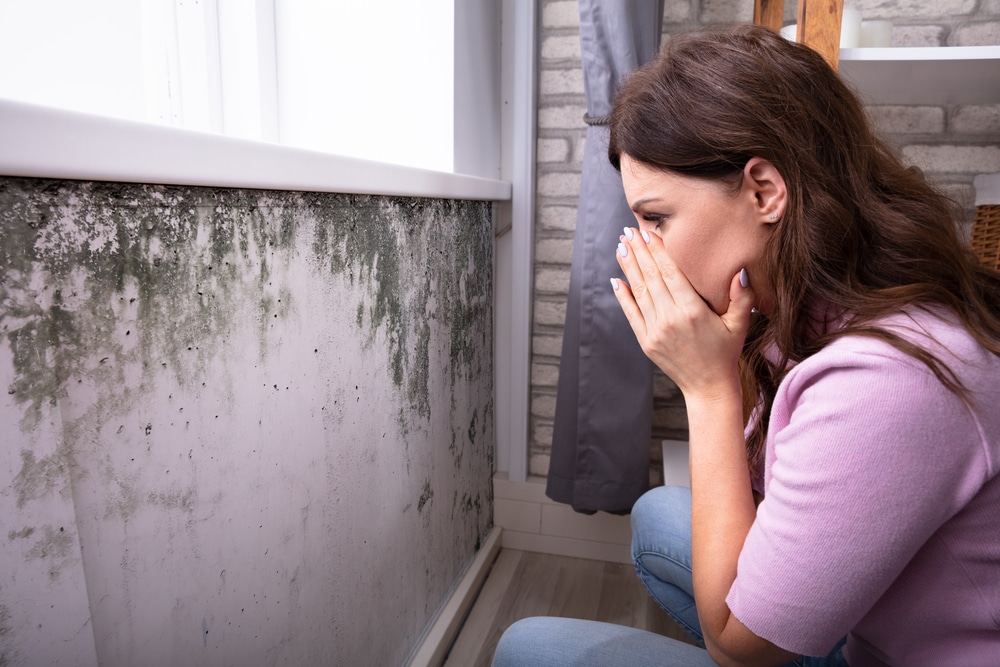 Why Is Mold Dangerous? HealthStatus