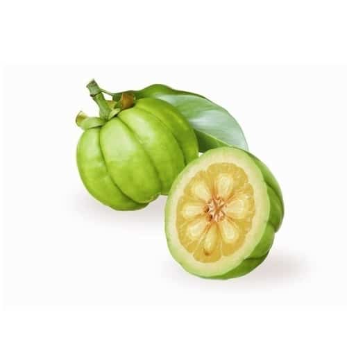 Garcinia