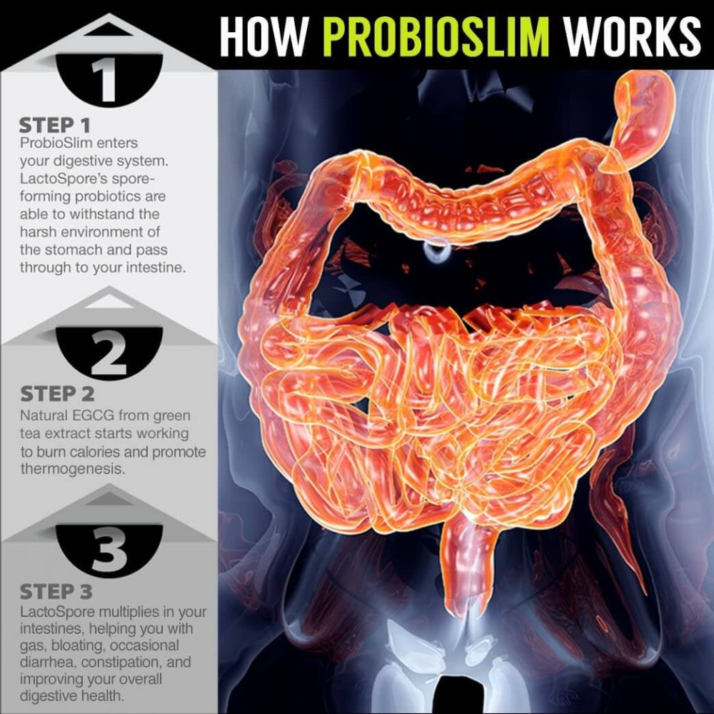 ProbioSlim 2021 clinical trial assessment and results