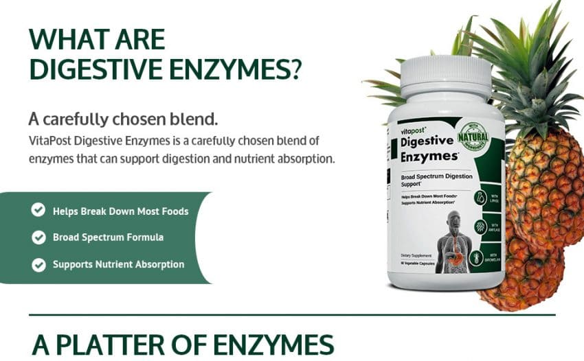 VitaPost Digestive Enzymes Reviews 2023 Proven Results & Buy
