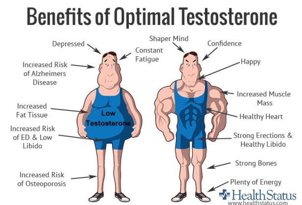 How do Testosterone Boosters work